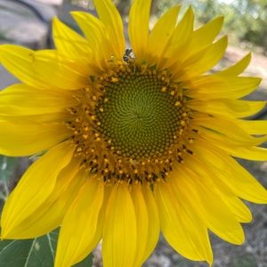 Meet your Posher, Paulina